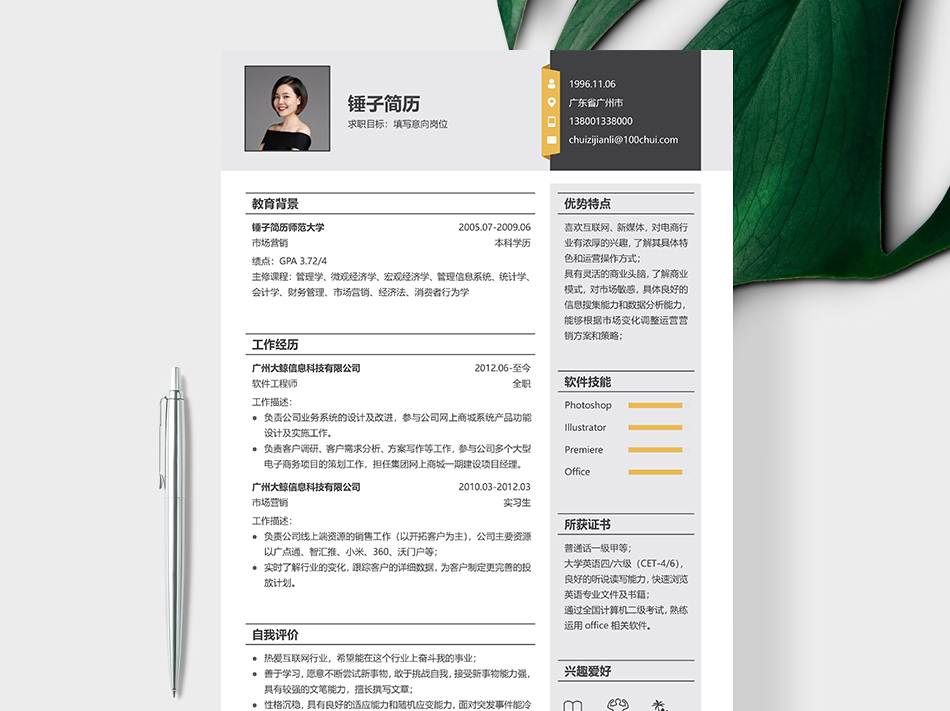个性精美简历模板