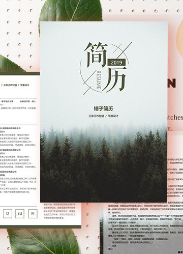 小清新风格简历模板
