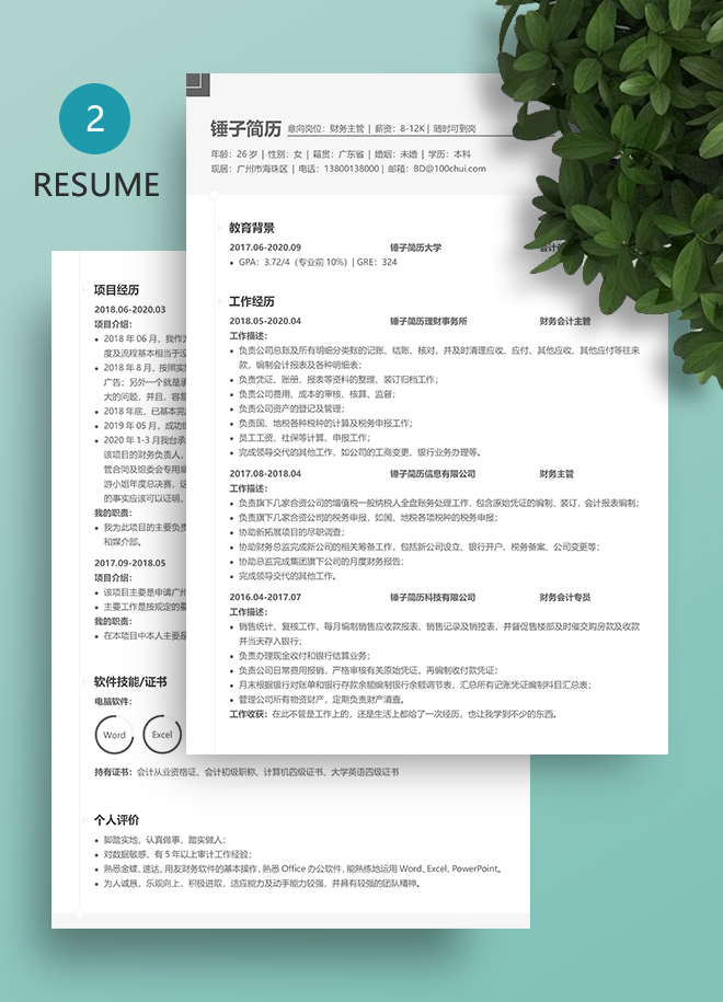 财务会计主管简历模板