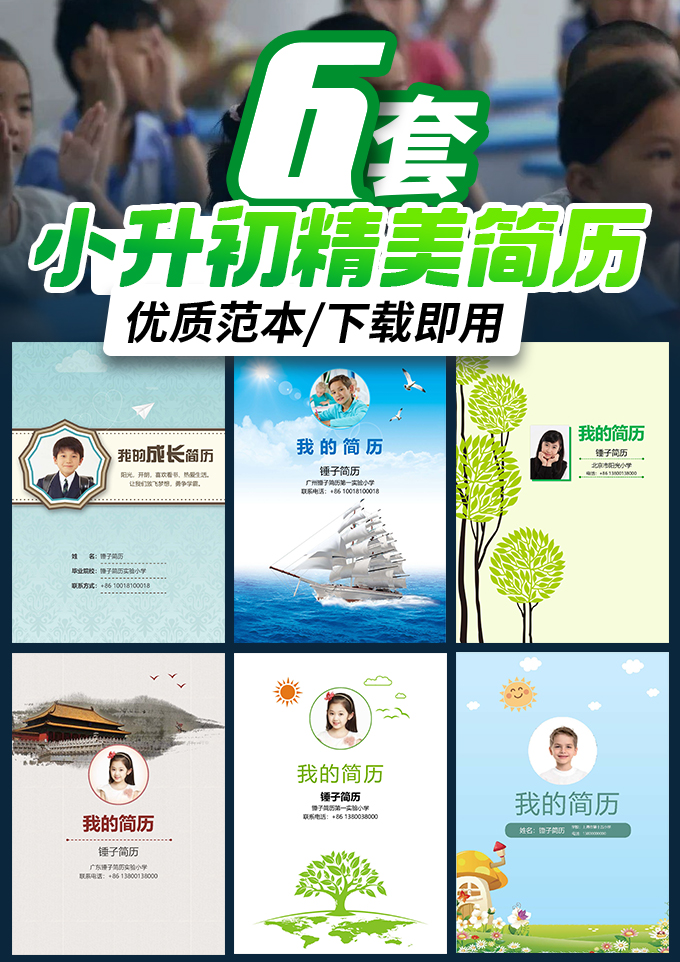 6套小升初简历合集