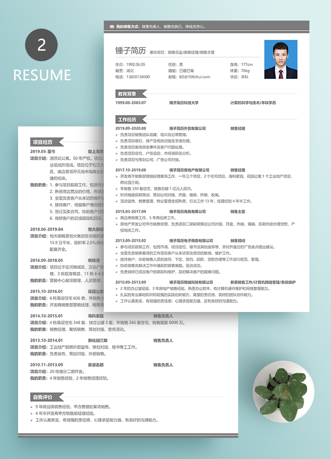 销售总监/销售经理简历模板
